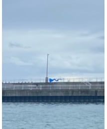 A.D.S.R. | メガネ