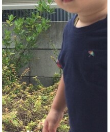 Arnold Palmer | Tシャツ/カットソー