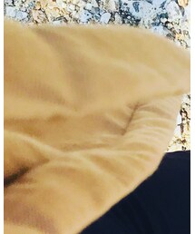 JOURNAL STANDARD | ワンピース