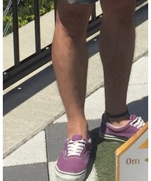 VANS | スニーカー