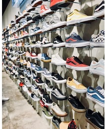 VANSの壁🤤 | スニーカー