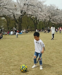 韓国子供服 | Tシャツ/カットソー