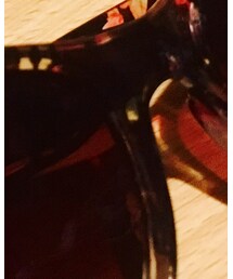 DOUBLE STEAL | サングラス