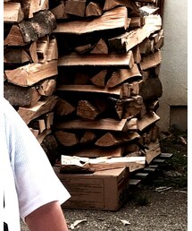 NUEVO | Tシャツ/カットソー