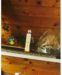 新しいネックレス | ネックレス