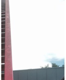 NUEVO | キャップ