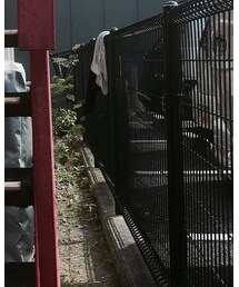 新しく購入 | その他パンツ