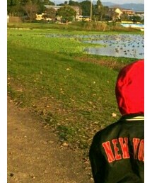 POLO RALPH LAUREN | スタジャン