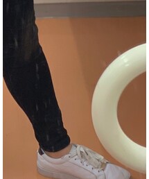 TOMMY HILFIGER | スニーカー