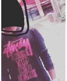 STUSSY | Tシャツ/カットソー