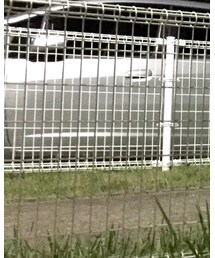 靴下屋 | ソックス/靴下