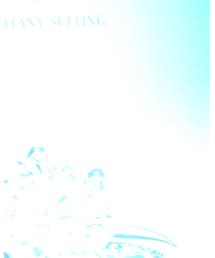 ウルフギャングにいきました。 | その他