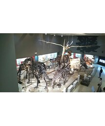 別写真さん | その他