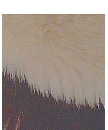 LOWRYS FARM | 帽子