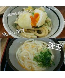 讃岐うどん | 池上製麺&竹清(その他)