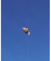 凧揚げ | その他