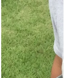 公園に来ました | その他