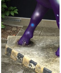 Champion | Tシャツ/カットソー