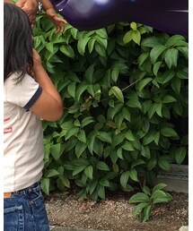 Supreme  | ショルダーバッグ