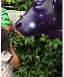 NEW ERA | キャップ