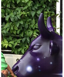 ビビる息子 | その他