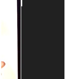 UNDERCOVER | Tシャツ/カットソー