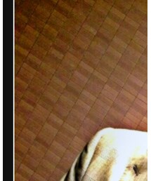 MEN'S MELROSE | スーツジャケット