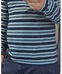 TOMMY HILFIGER | Tシャツ/カットソー