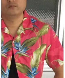 TOMMY HILFIGER | シャツ/ブラウス