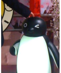 スイカ | アクセサリー
