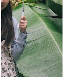 UNIQLO | シャツ/ブラウス