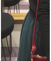 SWINGLE | スカート