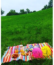 おしゃれピクニック | その他雑貨