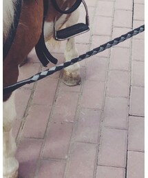 no brand | その他