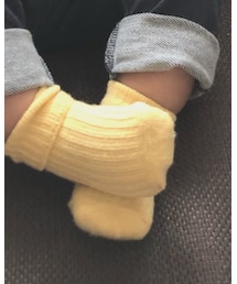 Tabio | ソックス/靴下