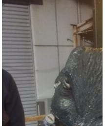 INDIVIDUALIZED SHIRTS | シャツ/ブラウス