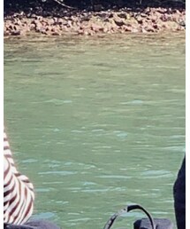 American Eagle | チノパンツ