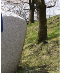 EEL | ステンカラーコート