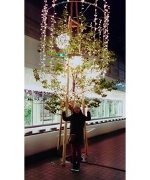 綺麗なイルミネーション✨ | 綺麗なイルミネーション😆✨(その他)