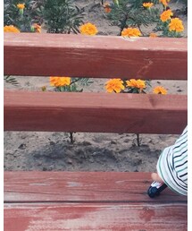 Lee | Tシャツ/カットソー