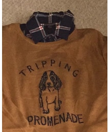 UNIQLO | シャツ/ブラウス