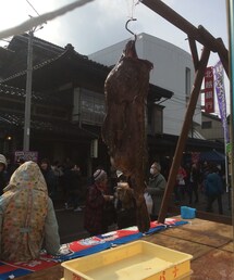 あんこう | これから食われるであろうあんこう(その他)