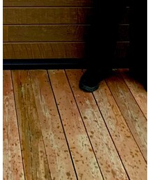 GRAVIS | スリッポン