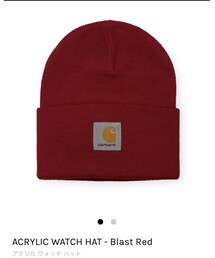 Carhartt | ニットキャップ/ビーニー