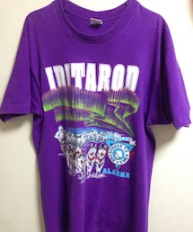 FRUIT OF THE LOOM | 紫Tシャツ(Tシャツ/カットソー)