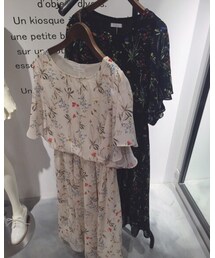 archives | ワンピース