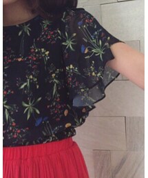 archives | ワンピース