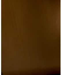 Birthday | シャツ/ブラウス