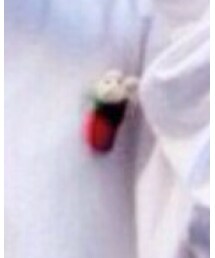 チャッピー | 財布/小物