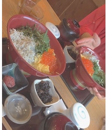 しらすいくら丼 | その他